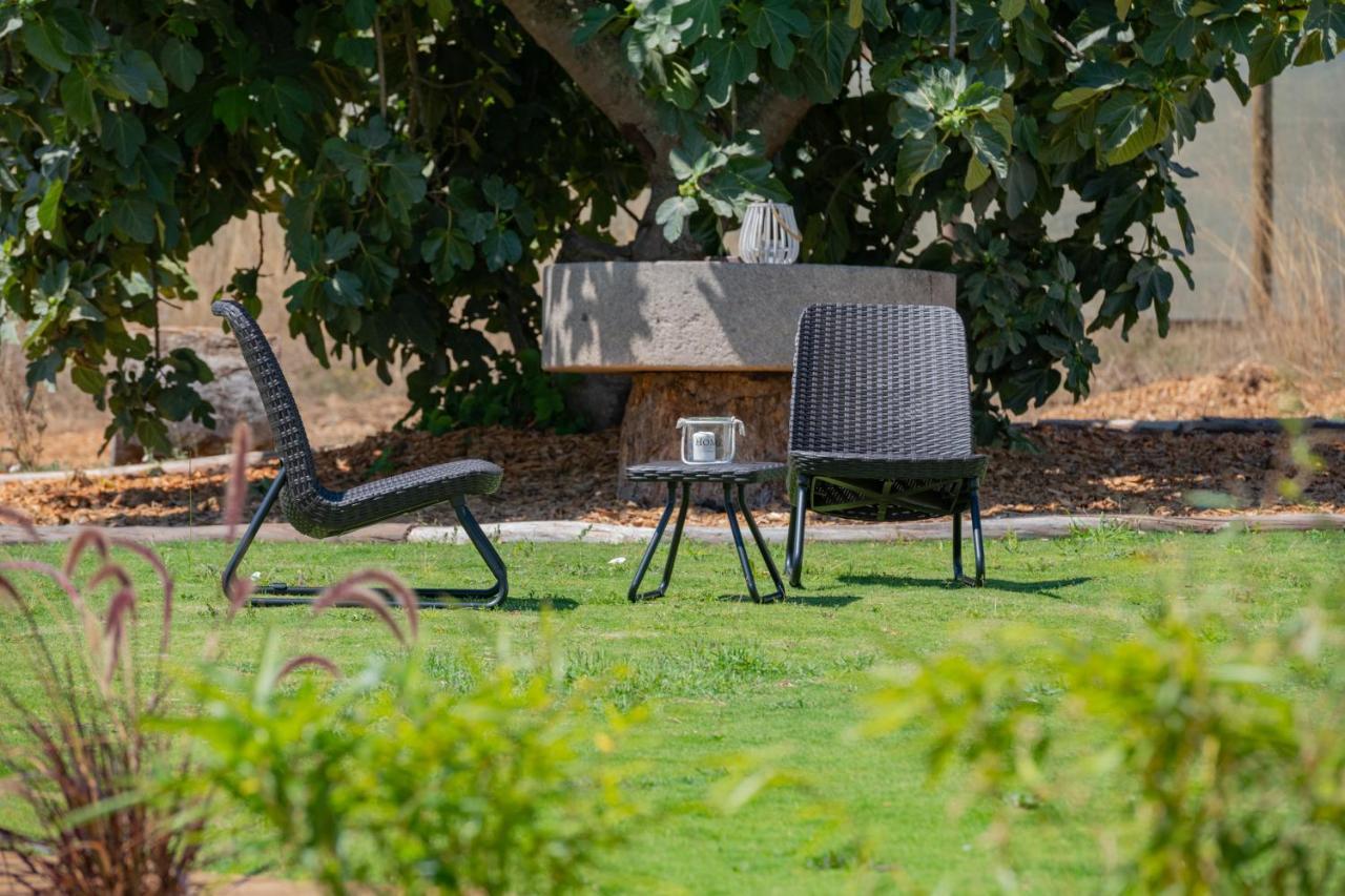 Casas Da Bica - Turismo Espaco Rural Cercal do Alentejo Bagian luar foto